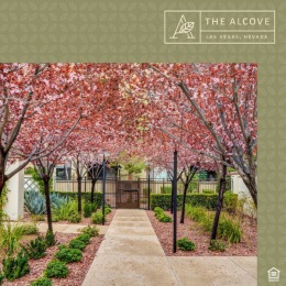 Find your calm at The Alcove, a Las Vegas desert gem. Visit our website to learn more about our pet-friendly apartment community. Link in bio. 🌿 Instagram post from @thealcovevegas on November 23, 2022 09:07:13am